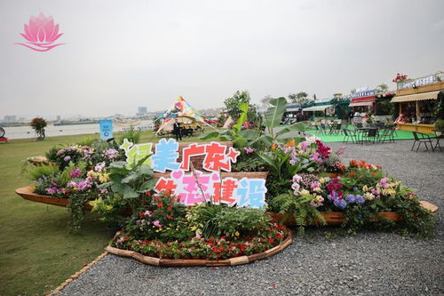 来中山,看 花花